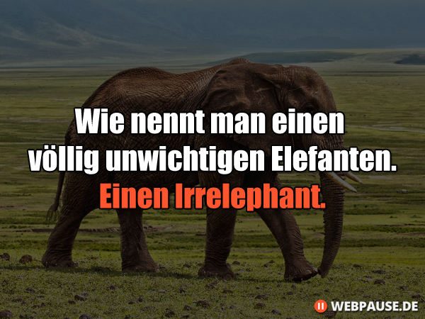 Wie nennt man einen völlig unwichtigen Elefanten? Einen Irrelephant.