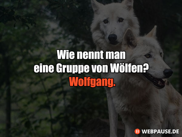 Wie nennt man eine Gruppe von Wölfen? Wolfgang.