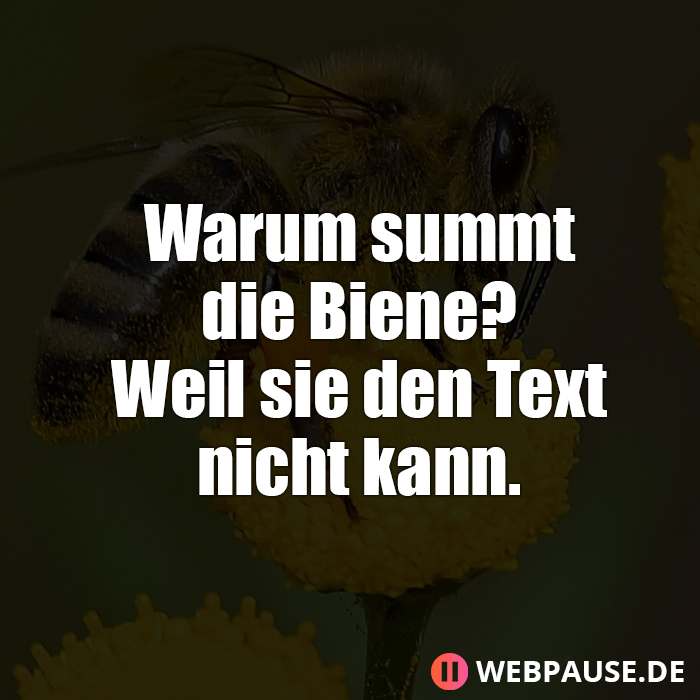 Warum summt die Biene? Weil sie den Text nicht kann.
